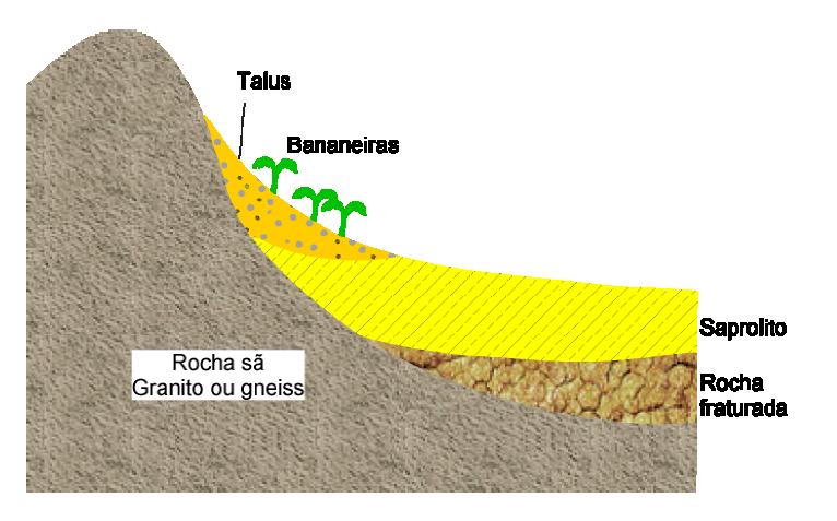 Solo Coluvial Muitas vezes, a presença de tálus pode ser identificada pelo tipo de vegetação.
