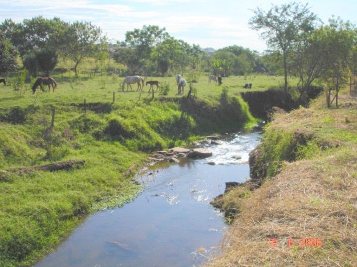 2.4.1 Uso rural Consolidado em Áreas de Preservação Permanente A lei estabelece que, nas APPs que apresentarem área rural consolidada (apenas aquelas que foram consolidas em data anterior a 22 de