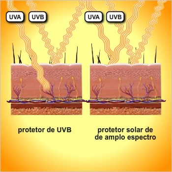 Tipos de protetores solares e como eles agem Os protetores solares podem ser classificados pela forma como protegem contra a luz UV, bem como pelo tipo de proteção UV que proporcionam.