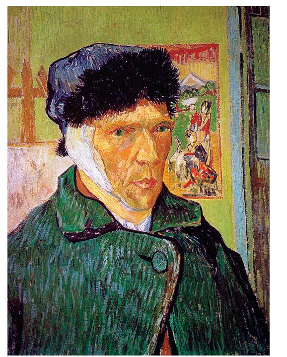 Introduzindo uma vírgula na oração em destaque, faça o leitor entender que Teresa, num acesso de fúria, cortou a própria orelha, como havia feito Van Gogh.