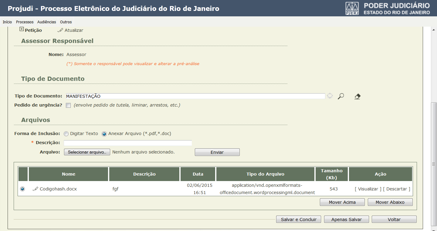 O documento será exibido na tabela. O arquivo pode ser visualizado, através link [Visualizar] ou eliminado através do link [Descartar].