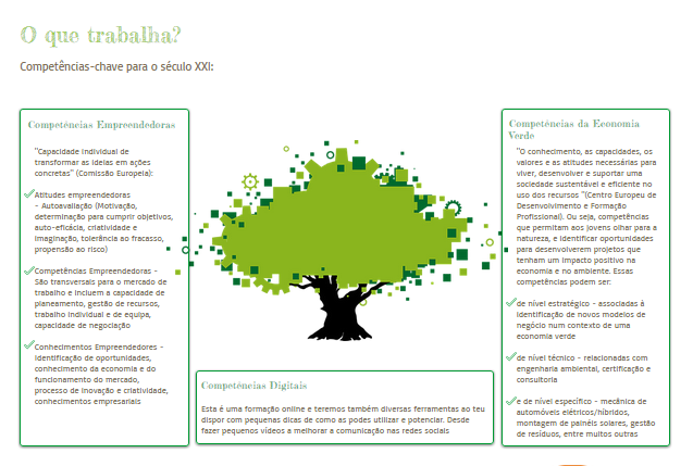 2- Atitudes empreendedoras e sustentáveis 3 - Competências Empreendedoras 4- Conhecimentos Empreendedores/Empresariais 5 - O meu plano profissional futuro; b) Resultados finais: