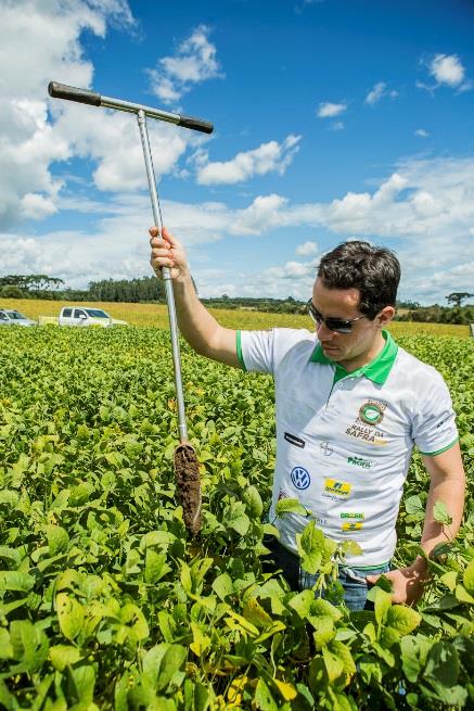 AVALIAÇÕES REALIZADAS Produtividades das lavouras de soja e milho Levantamento da participação de