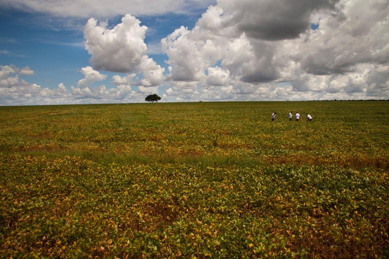 TOCANTINS