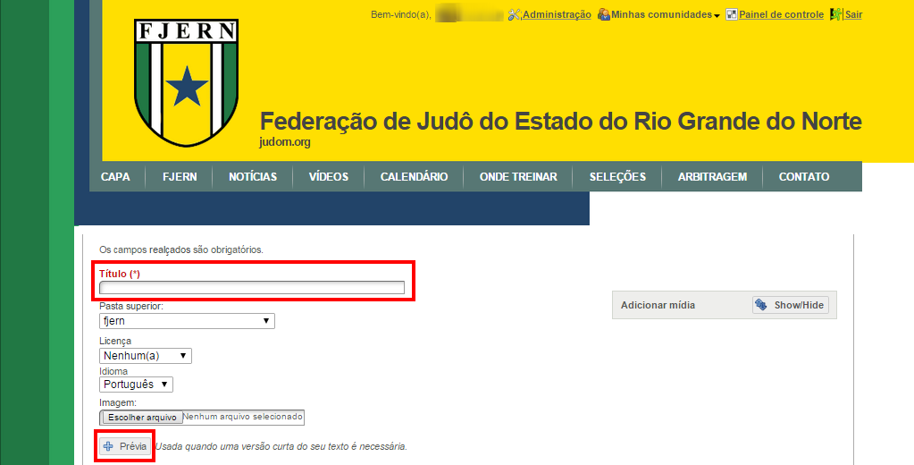 Capítulo 2. Gerenciamento de Conteúdo 13 2.2.2 Artigo Por meio desse tipo de conteúdo é possível criar textos.