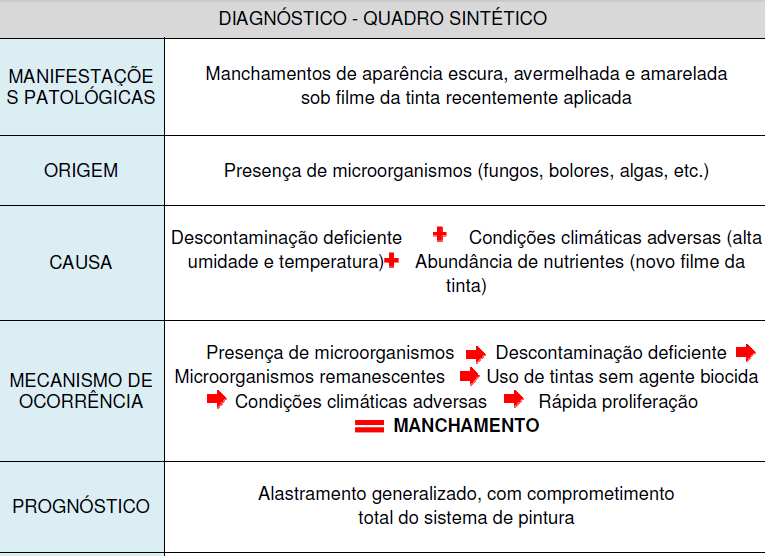 CONCLUSÃO Quadro