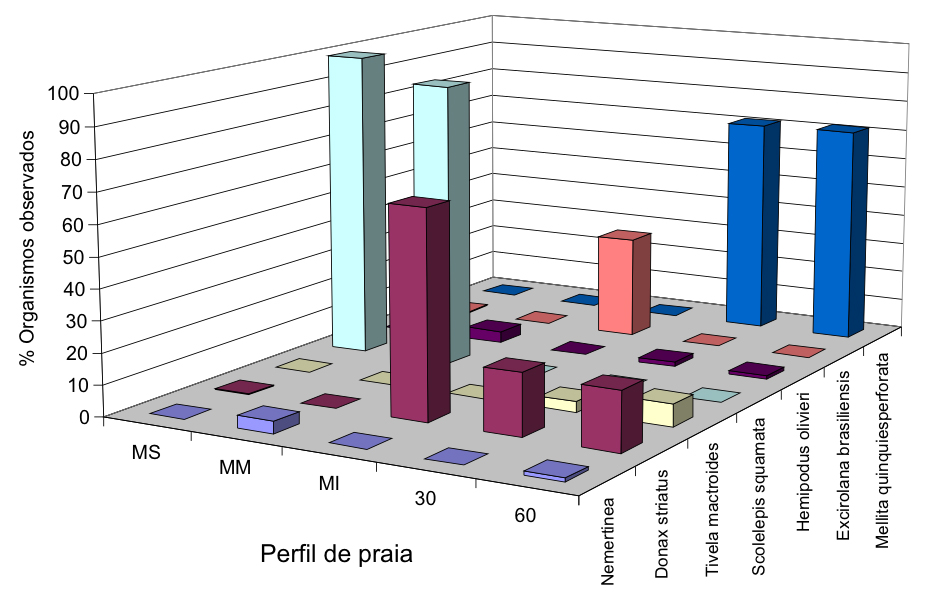 37 Figura 6: Percentual de ocorrência das espécies da macroinfauna bentônica coletados na Praia da Taíba, município São Gonçalo do Amarante - Ceará, durante o período de estiagem (08..2002).