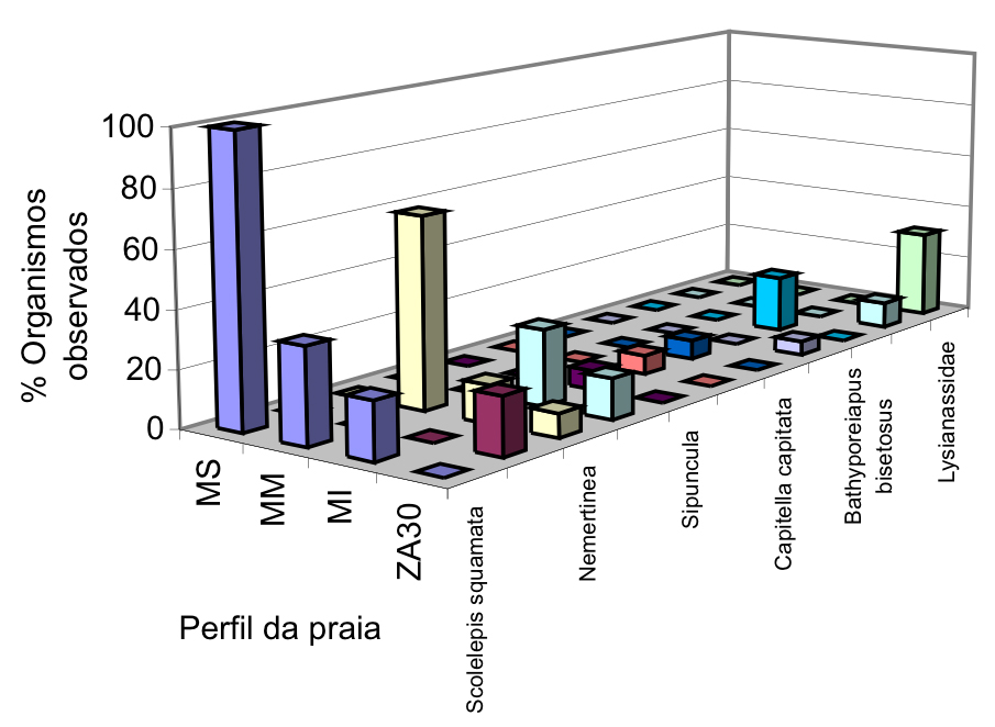 46 Figura16: Percentual de ocorrência das espécies da macroinfauna bentônica coletados na Praia de Flecheiras, município de Trairi CE, durante o período de chuvoso (18.III.2003).