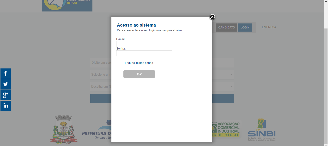 PRONTO!!! Seu cadastro foi concluído. Mas espere que ainda não acabou... Agora é a hora de preencher seus dados profissionais e acadêmicos!