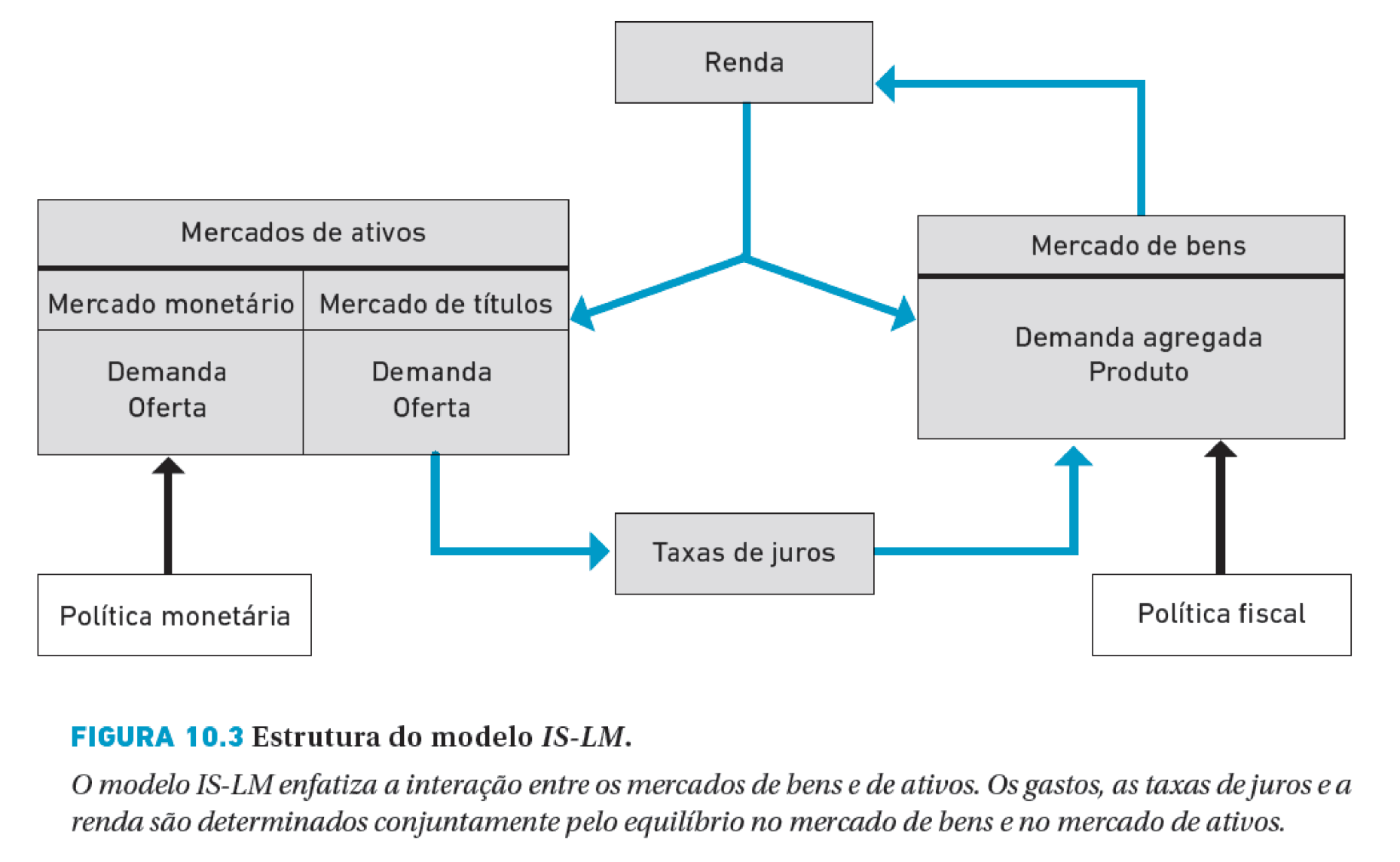 ESTRUTURA DO