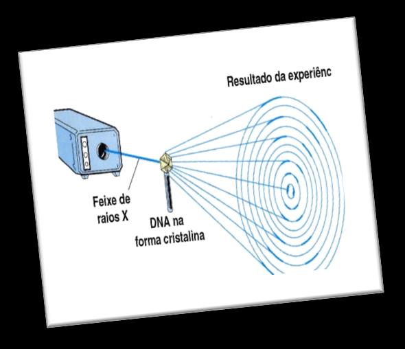 A estrutura do DNA Dados: Difracção