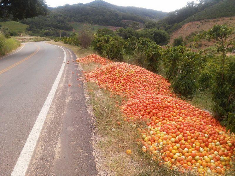 Logística /Mercado Produtores rurais de Venda Nova do Imigrante (ES) jogaram 20