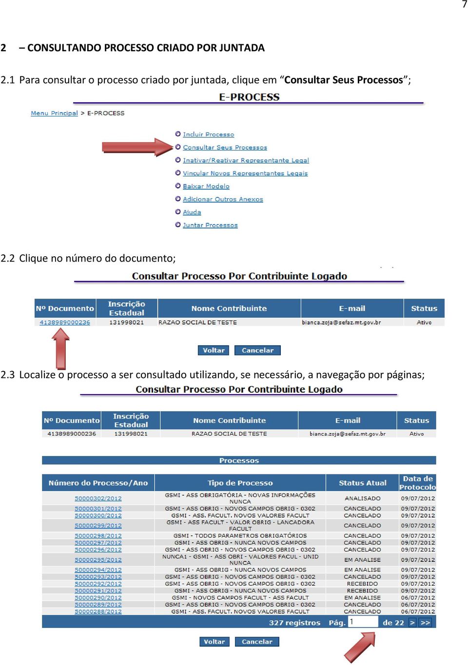 Consultar Seus Processos ; 2.2 Clique no número do documento; 2.