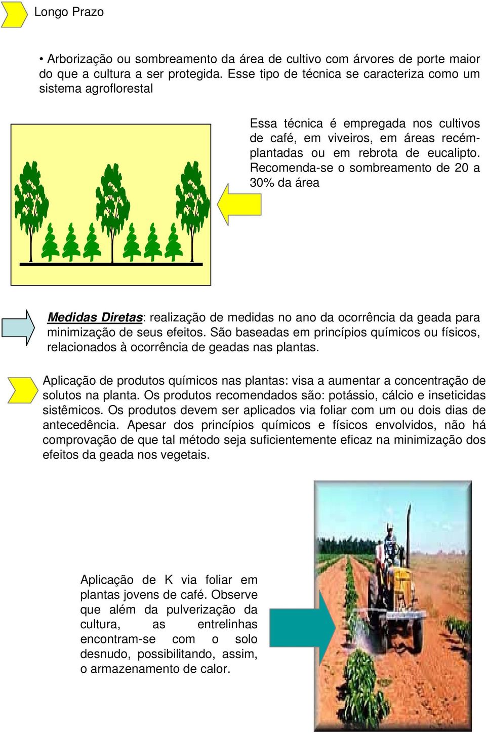 Recomenda-se o sombreamento de 20 a 30% da área Medidas Diretas: realização de medidas no ano da ocorrência da geada para minimização de seus efeitos.