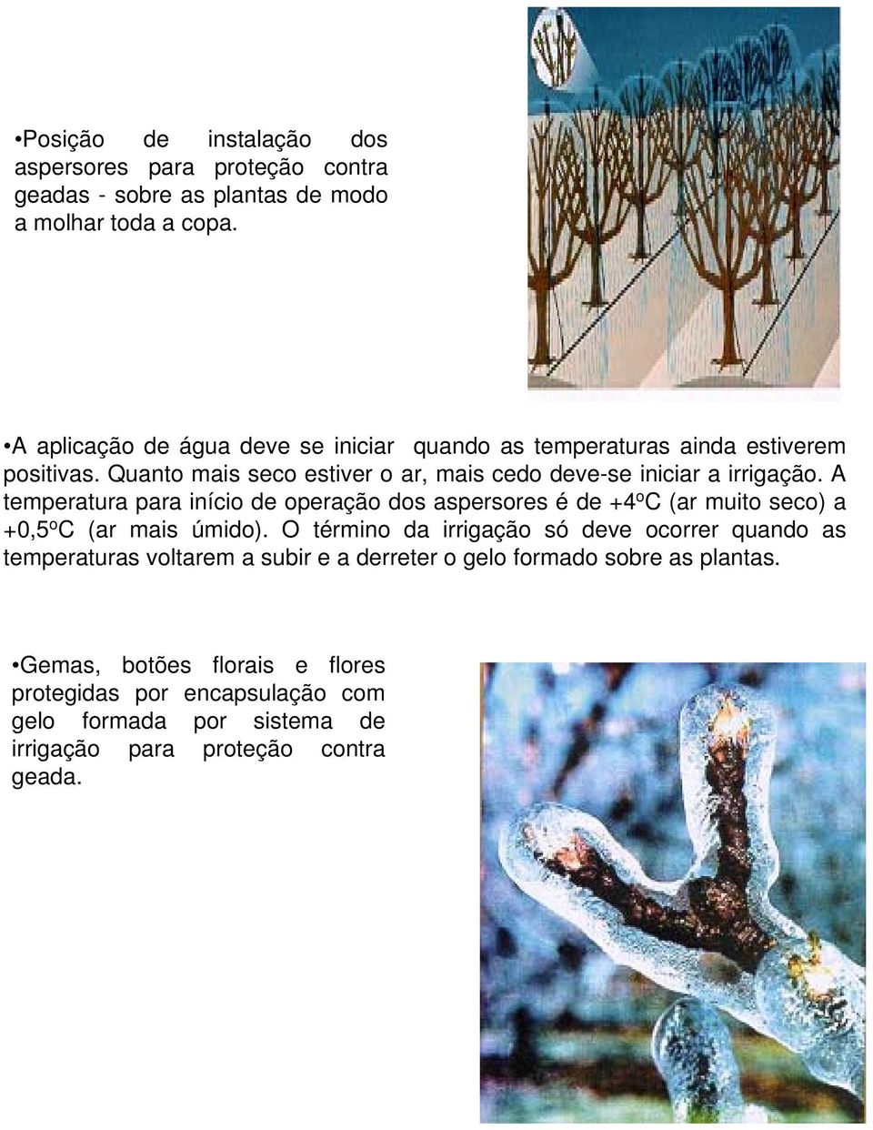 A temperatura para início de operação dos aspersores é de +4 o C (ar muito seco) a +0,5 o C (ar mais úmido).