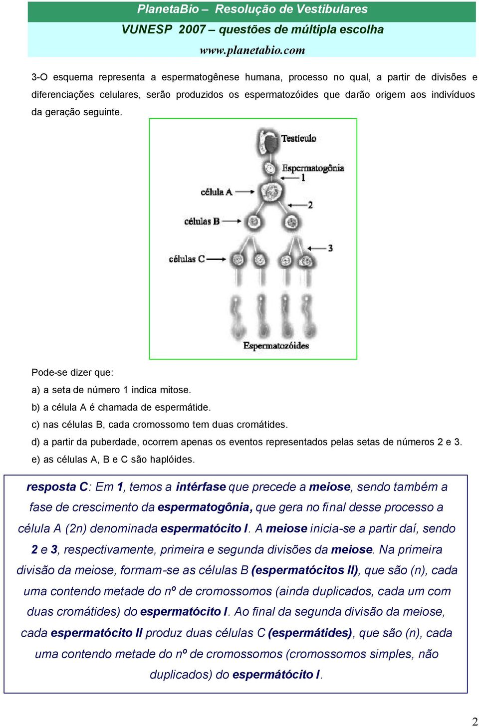 d) a partir da puberdade, ocorrem apenas os eventos representados pelas setas de números 2 e 3. e) as células A, B e C são haplóides.