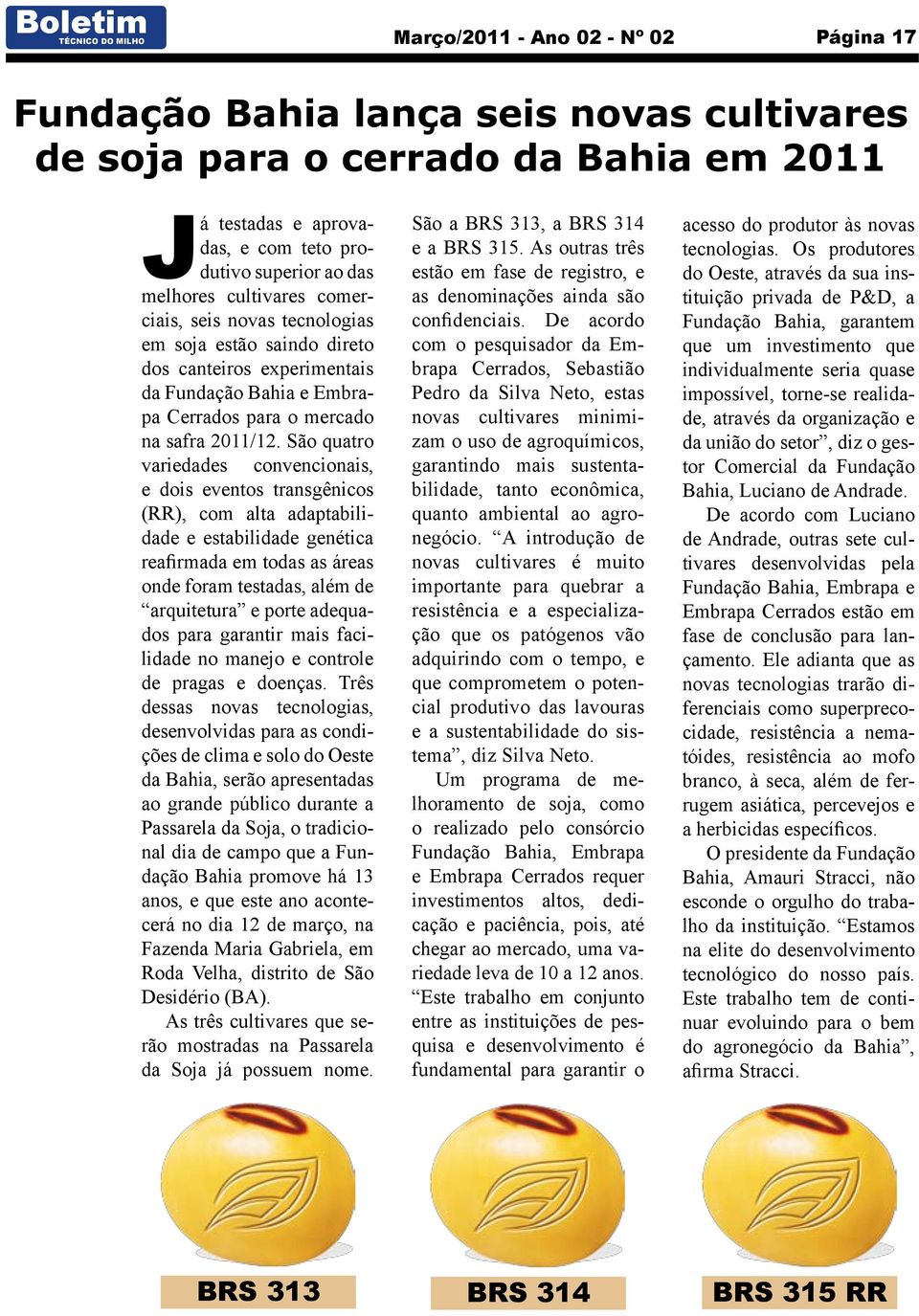 São quatro variedades convencionais, e dois eventos transgênicos (RR), com alta adaptabilidade e estabilidade genética reafirmada em todas as áreas onde foram testadas, além de arquitetura e porte