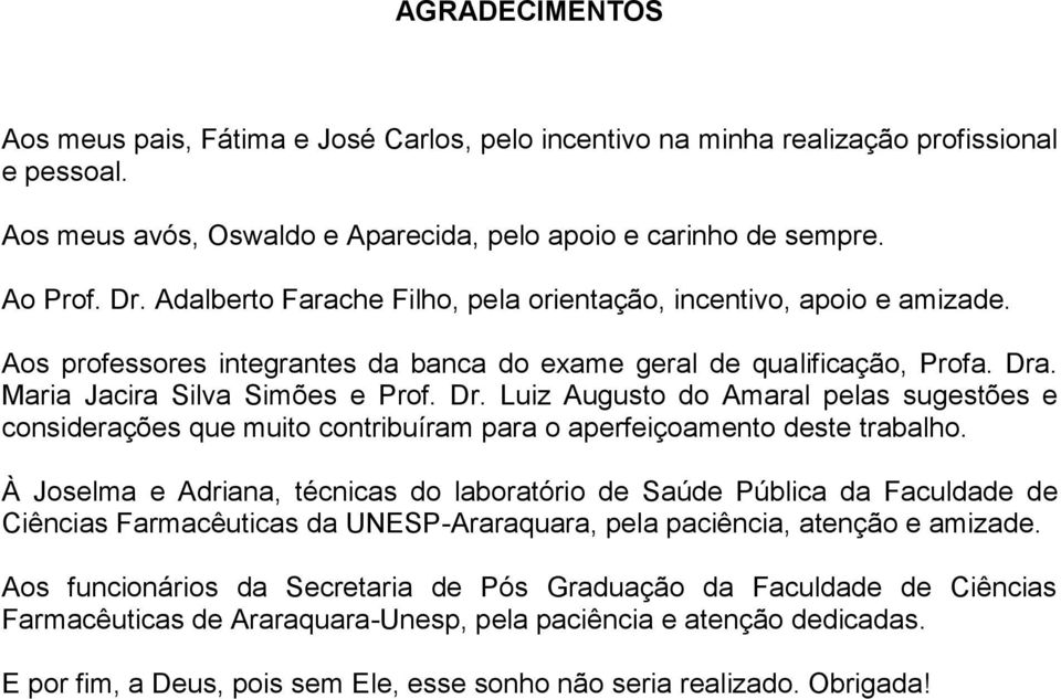 . Maria Jacira Silva Simões e Prof. Dr. Luiz Augusto do Amaral pelas sugestões e considerações que muito contribuíram para o aperfeiçoamento deste trabalho.