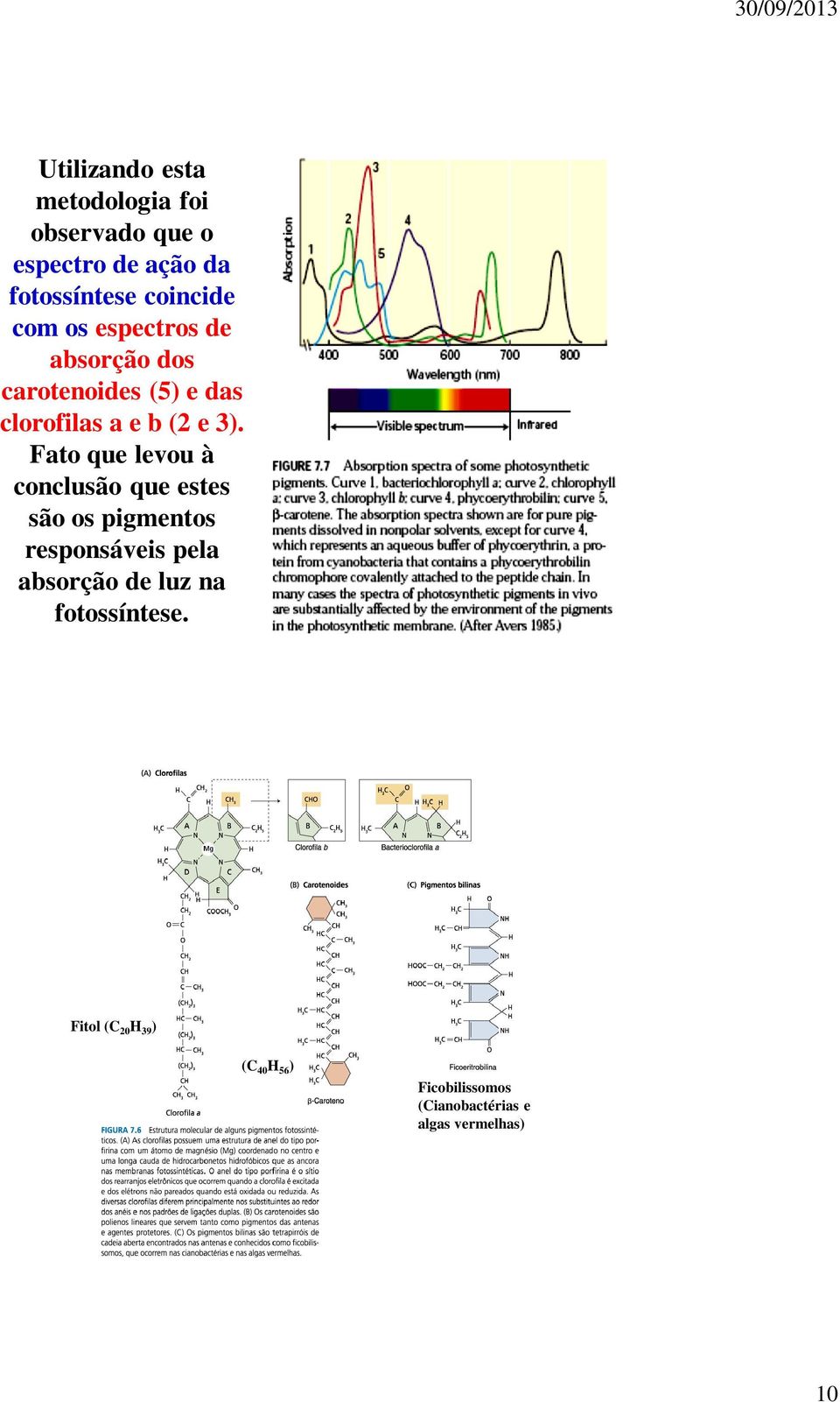 Fato que levou à conclusão que estes são os pigmentos responsáveis pela absorção de luz na