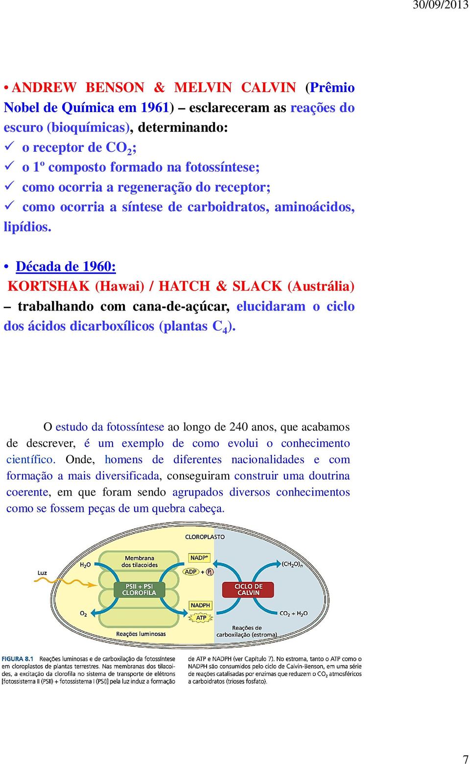 Década de 1960: KORTSHAK (Hawai) / HATCH & SLACK (Austrália) trabalhando com cana-de-açúcar, elucidaram o ciclo dos ácidos dicarboxílicos (plantas C 4 ).