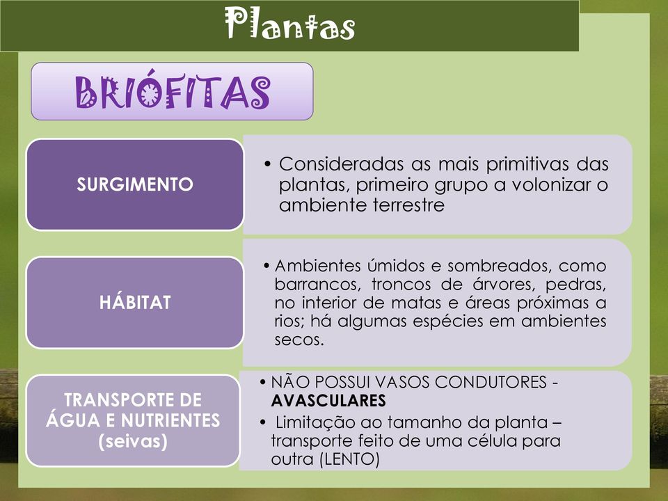 troncos de árvores, pedras, no interior de matas e áreas próximas a rios; há algumas espécies em ambientes