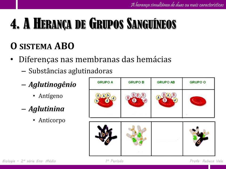 das hemácias Substâncias aglutinadoras