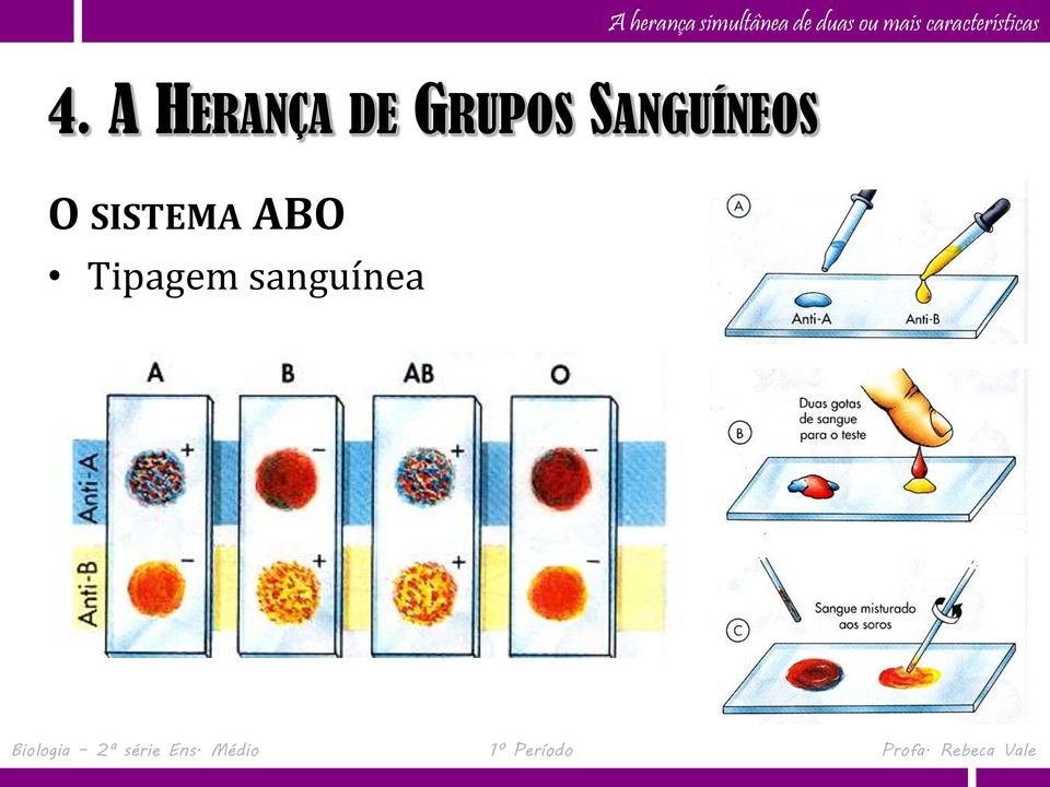 SANGUÍNEOS O