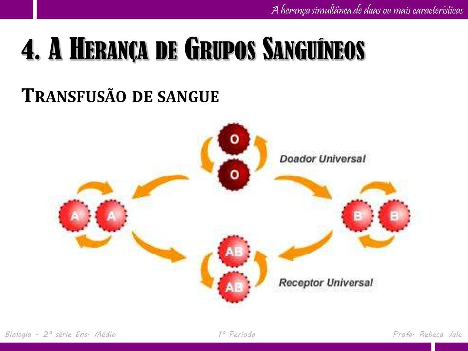 SANGUÍNEOS