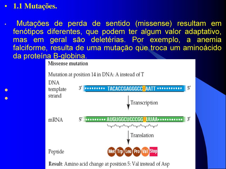 diferentes, que podem ter algum valor adaptativo, mas em geral