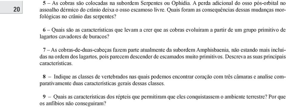 6 Quais são as características que levam a crer que as cobras evoluíram a partir de um grupo primitivo de lagartos cavadores de buracos?