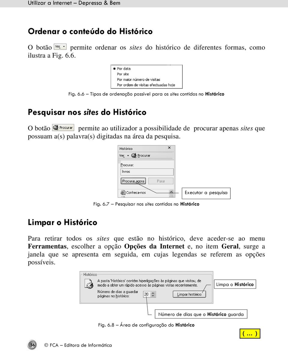 6 Tipos de ordenação possível para os sites contidos no Histórico Pesquisar nos sites do Histórico O botão permite ao utilizador a possibilidade de procurar apenas sites que possuam a(s) palavra(s)