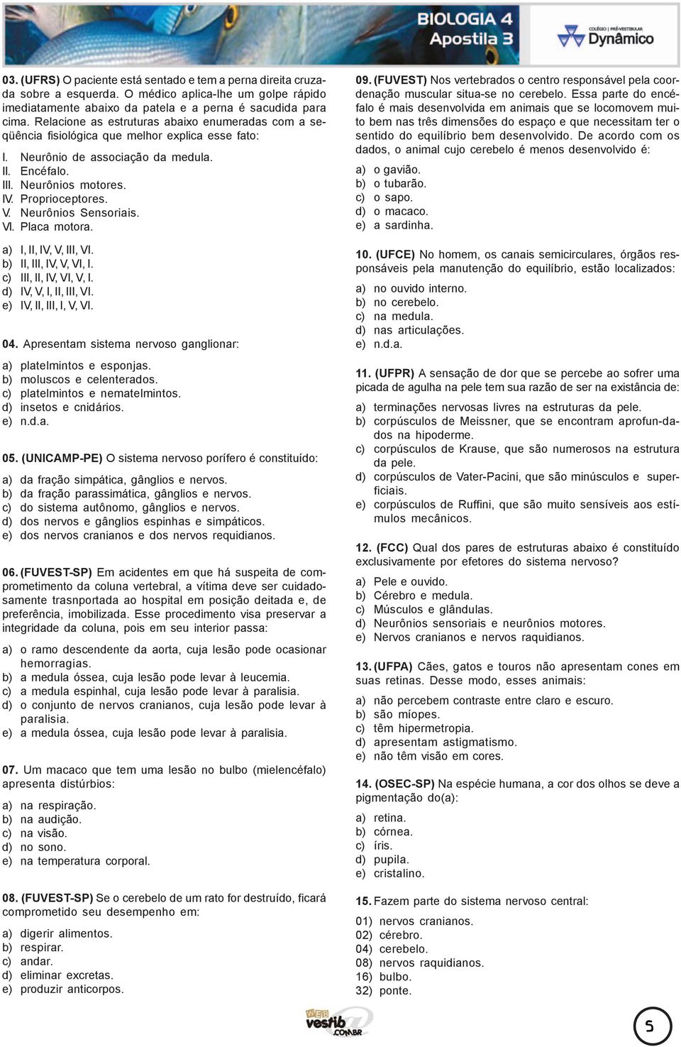 Neurônios Sensoriais. VI. Placa motora. a) I, II, IV, V, III, VI. b) II, III, IV, V, VI, I. c) III, II, IV, VI, V, I. d) IV, V, I, II, III, VI. e) IV, II, III, I, V, VI. 04.