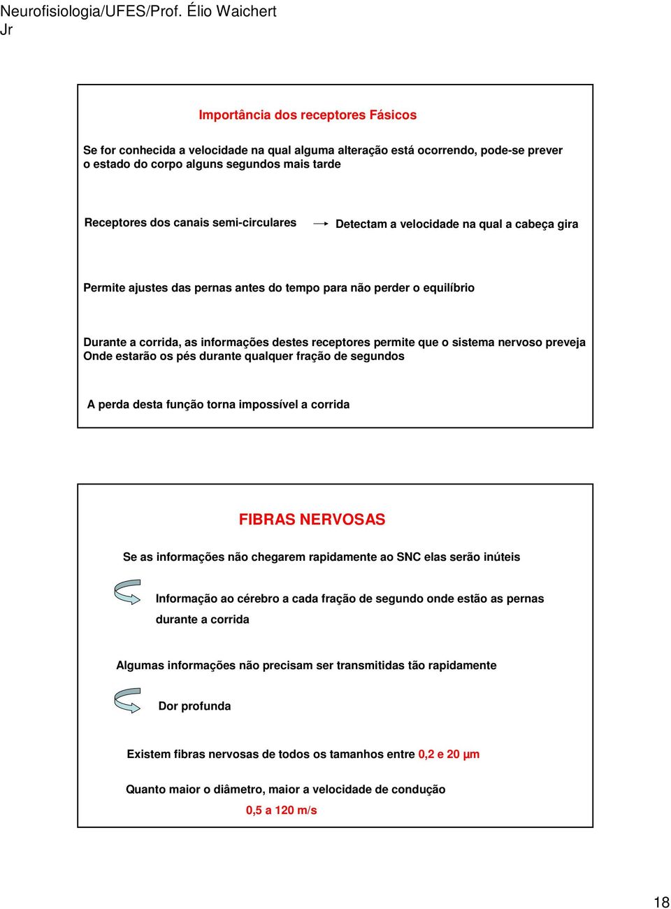 sistema nervoso preveja Onde estarão os pés durante qualquer fração de segundos A perda desta função torna impossível a corrida FIBRAS NERVOSAS Se as informações não chegarem rapidamente ao SNC elas