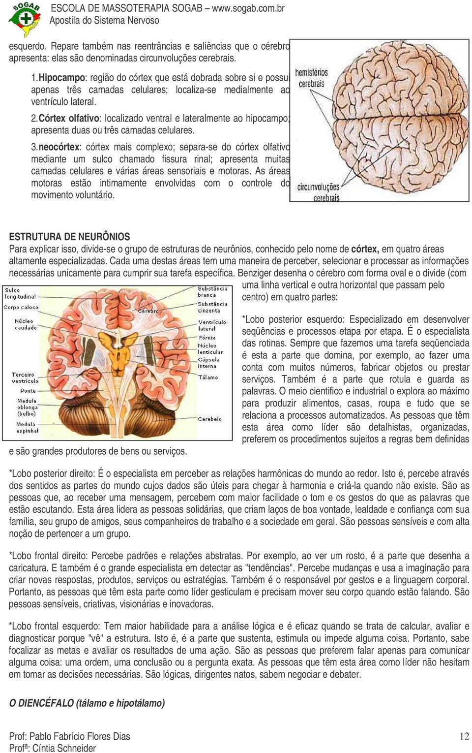 Córtex olfativo: localizado ventral e lateralmente ao hipocampo; apresenta duas ou três camadas celulares. 3.