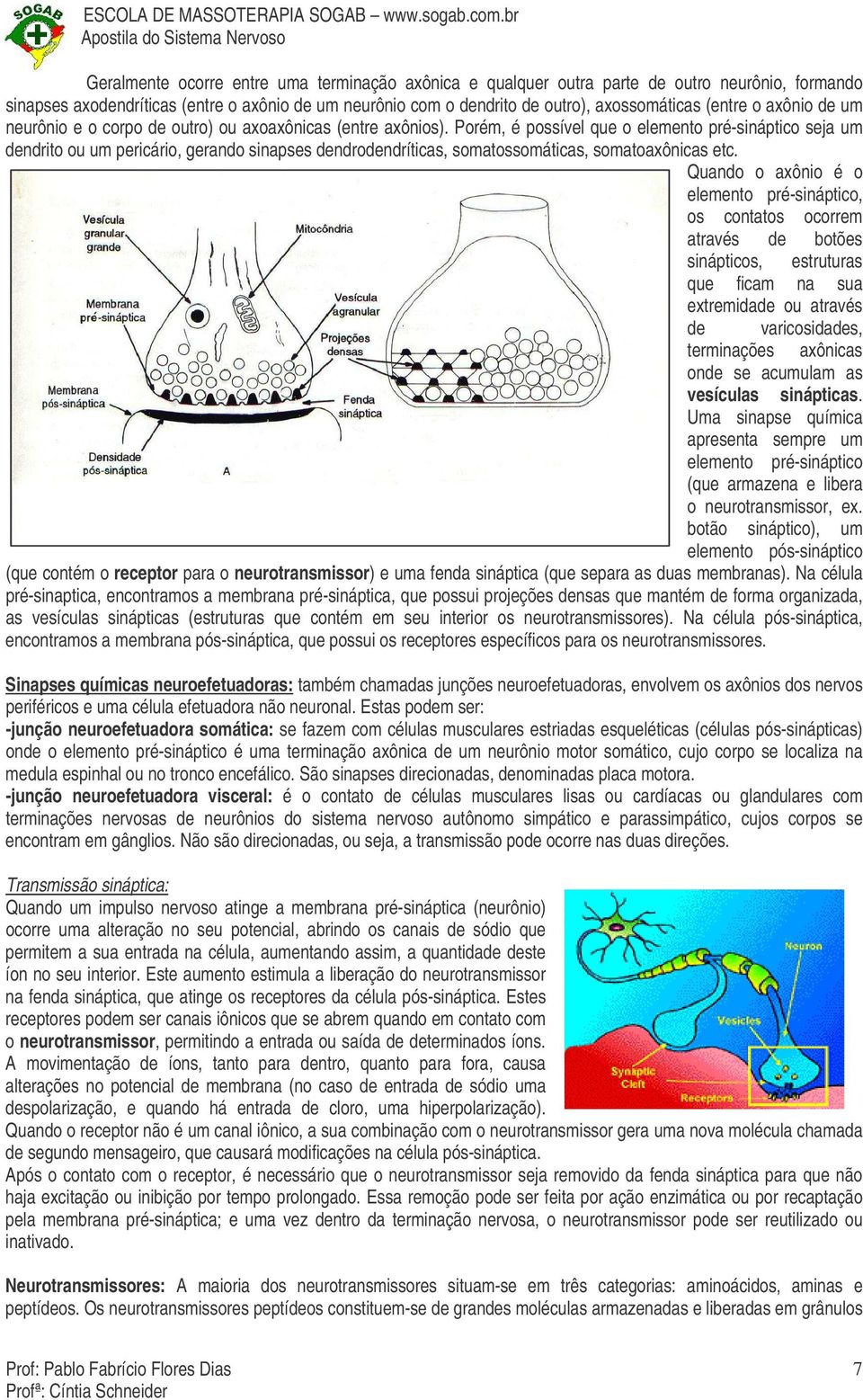 Porém, é possível que o elemento pré-sináptico seja um dendrito ou um pericário, gerando sinapses dendrodendríticas, somatossomáticas, somatoaxônicas etc.