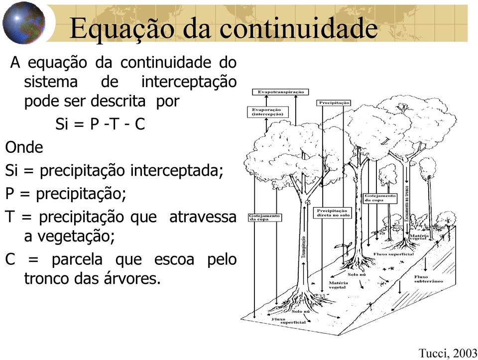 precipitação interceptada; P = precipitação; T = precipitação