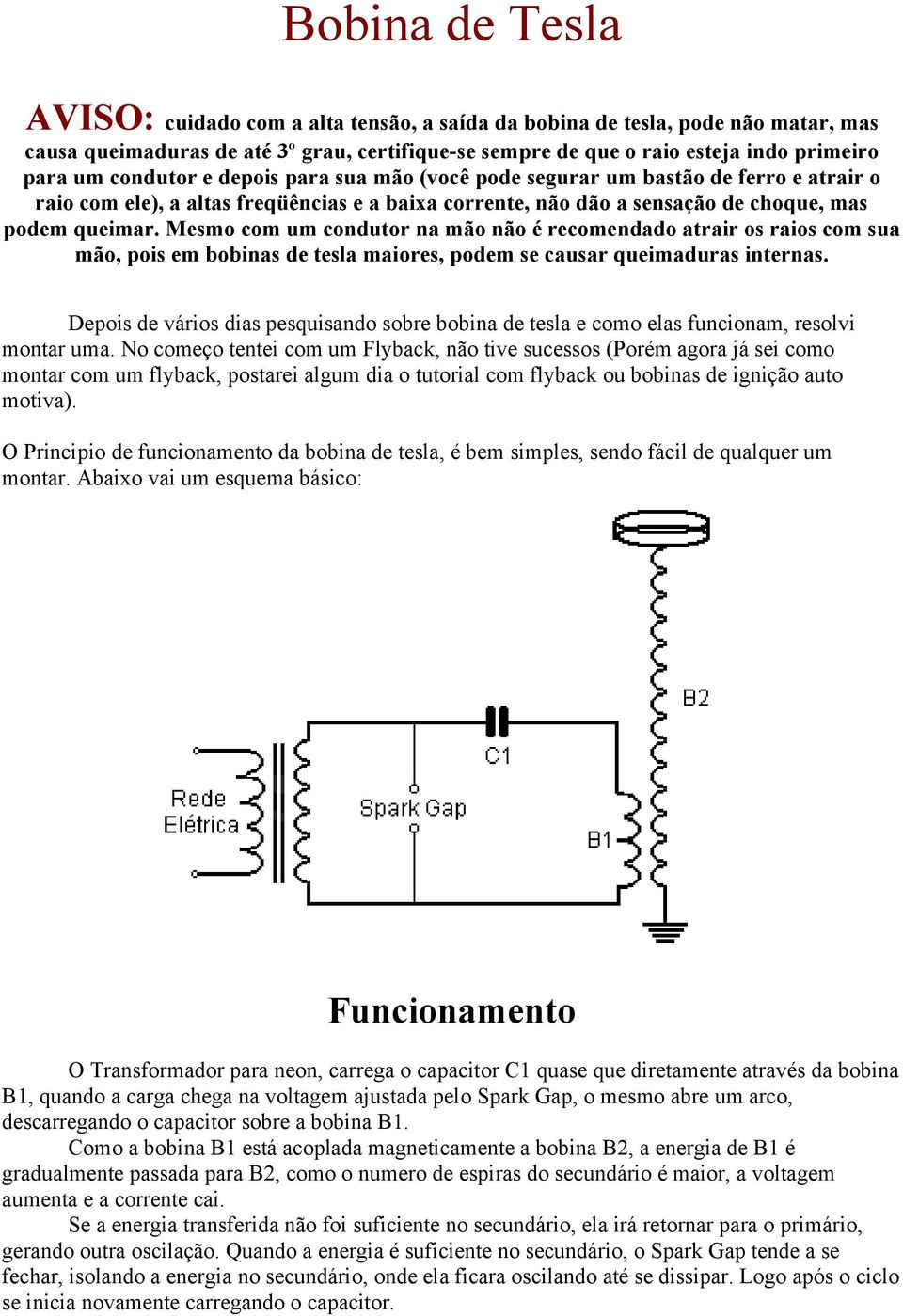 Mesmo com um condutor na mão não é recomendado atrair os raios com sua mão, pois em bobinas de tesla maiores, podem se causar queimaduras internas.