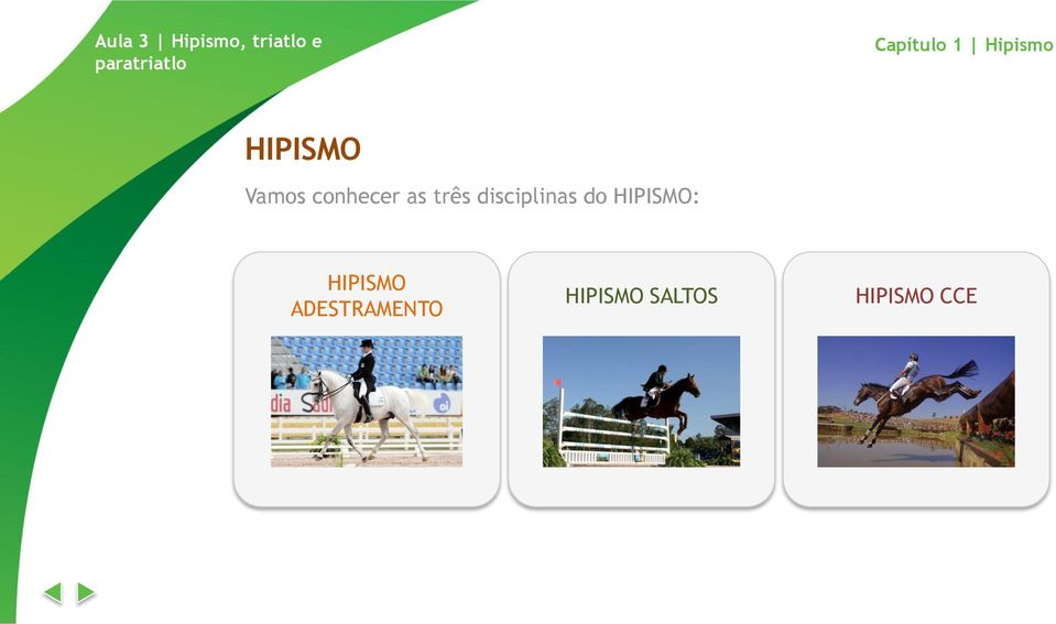 disciplinas do HIPISMO: