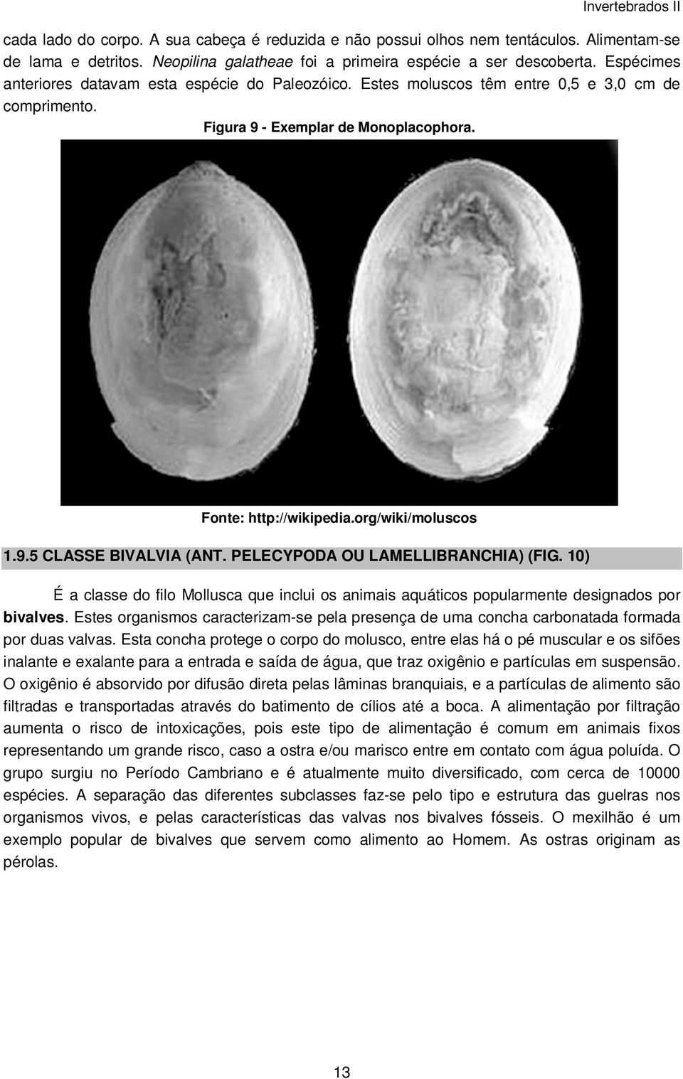 PELECYPODA OU LAMELLIBRANCHIA) (FIG. 10) É a classe do filo Mollusca que inclui os animais aquáticos popularmente designados por bivalves.