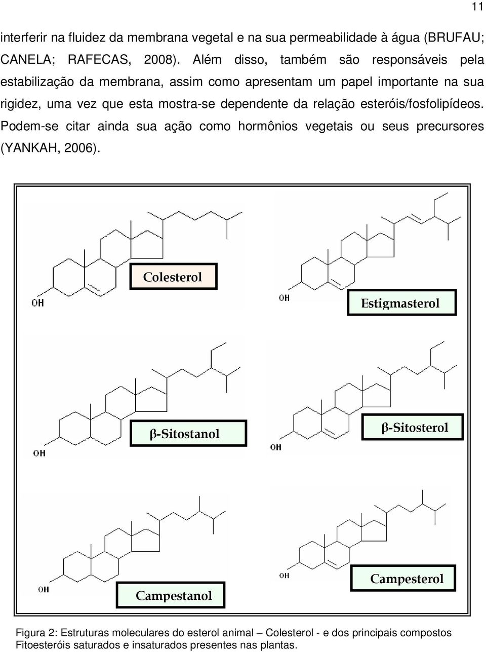 dependente da relação esteróis/fosfolipídeos. Podem-se citar ainda sua ação como hormônios vegetais ou seus precursores (YANKAH, 2006).