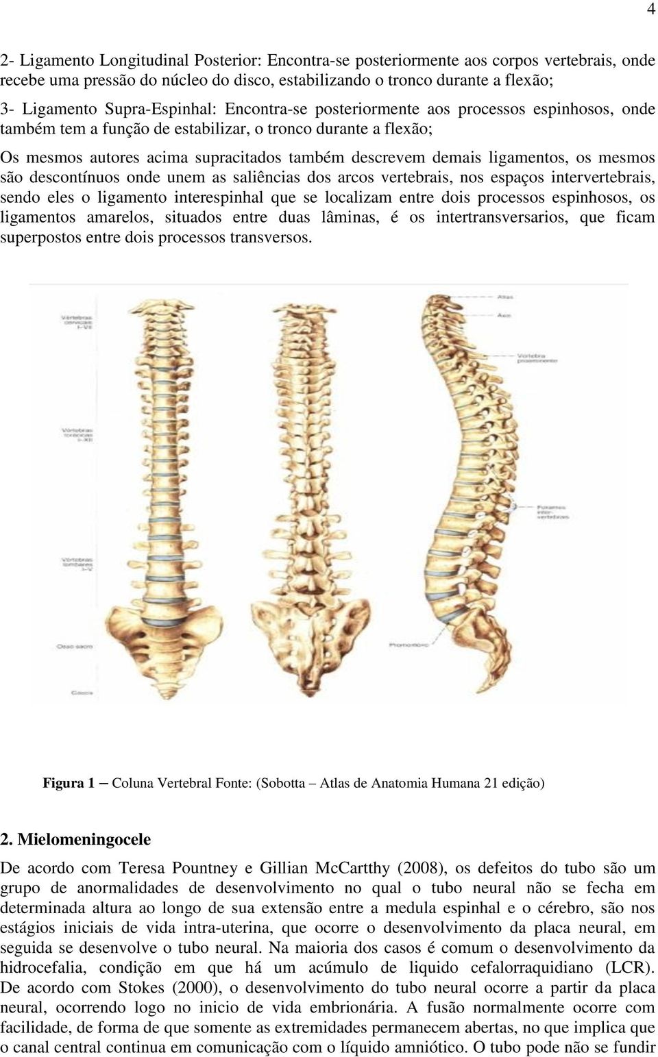 ligamentos, os mesmos são descontínuos onde unem as saliências dos arcos vertebrais, nos espaços intervertebrais, sendo eles o ligamento interespinhal que se localizam entre dois processos