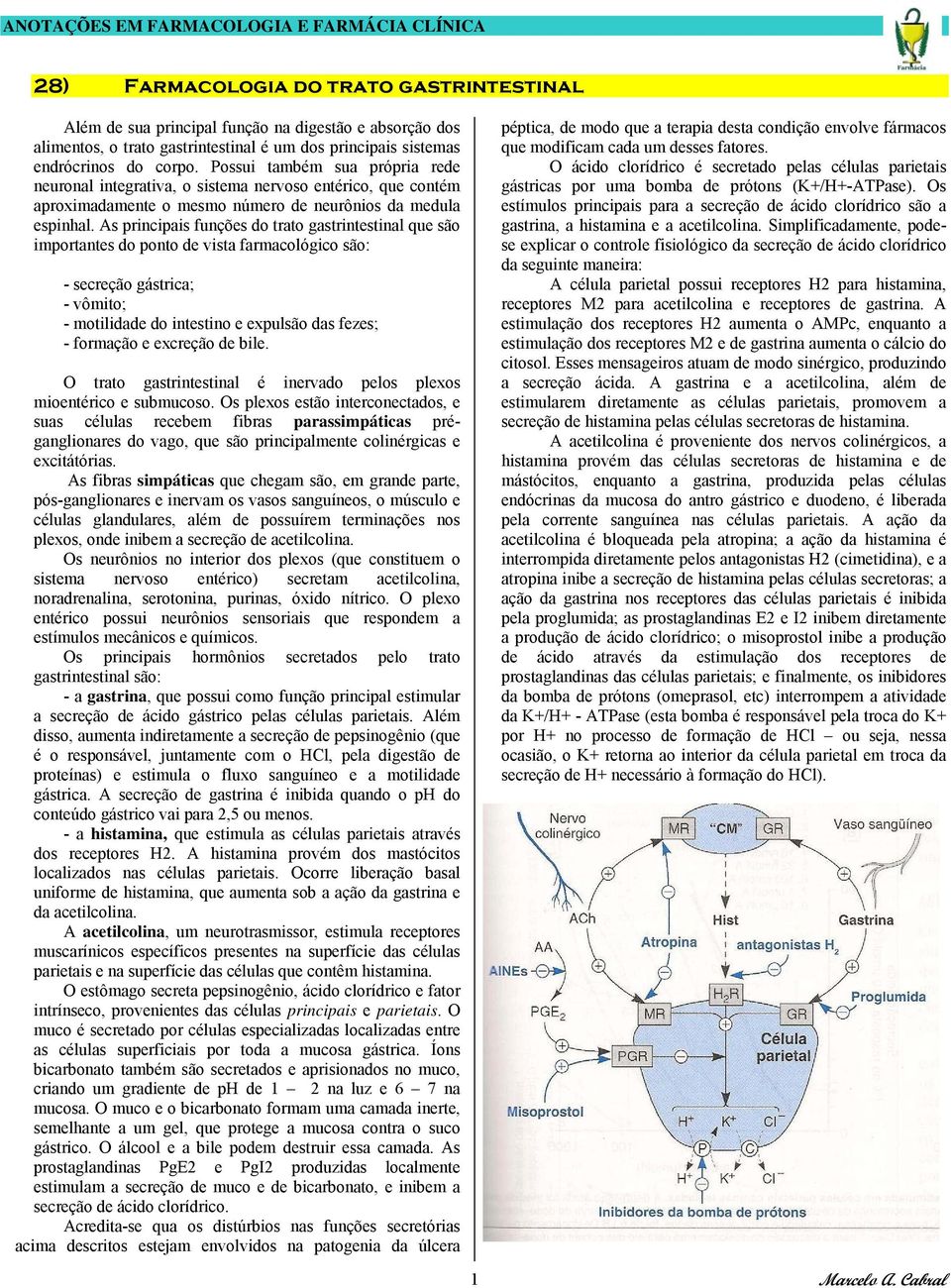 As principais funções do trato gastrintestinal que são importantes do ponto de vista farmacológico são: - secreção gástrica; - vômito; - motilidade do intestino e expulsão das fezes; - formação e