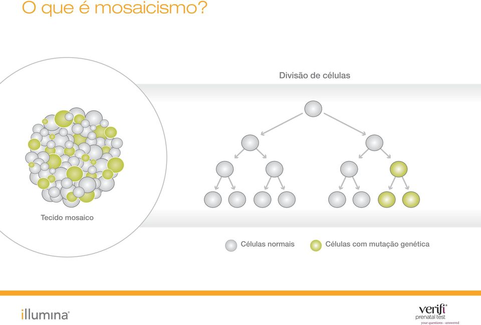 Tecido mosaico Células