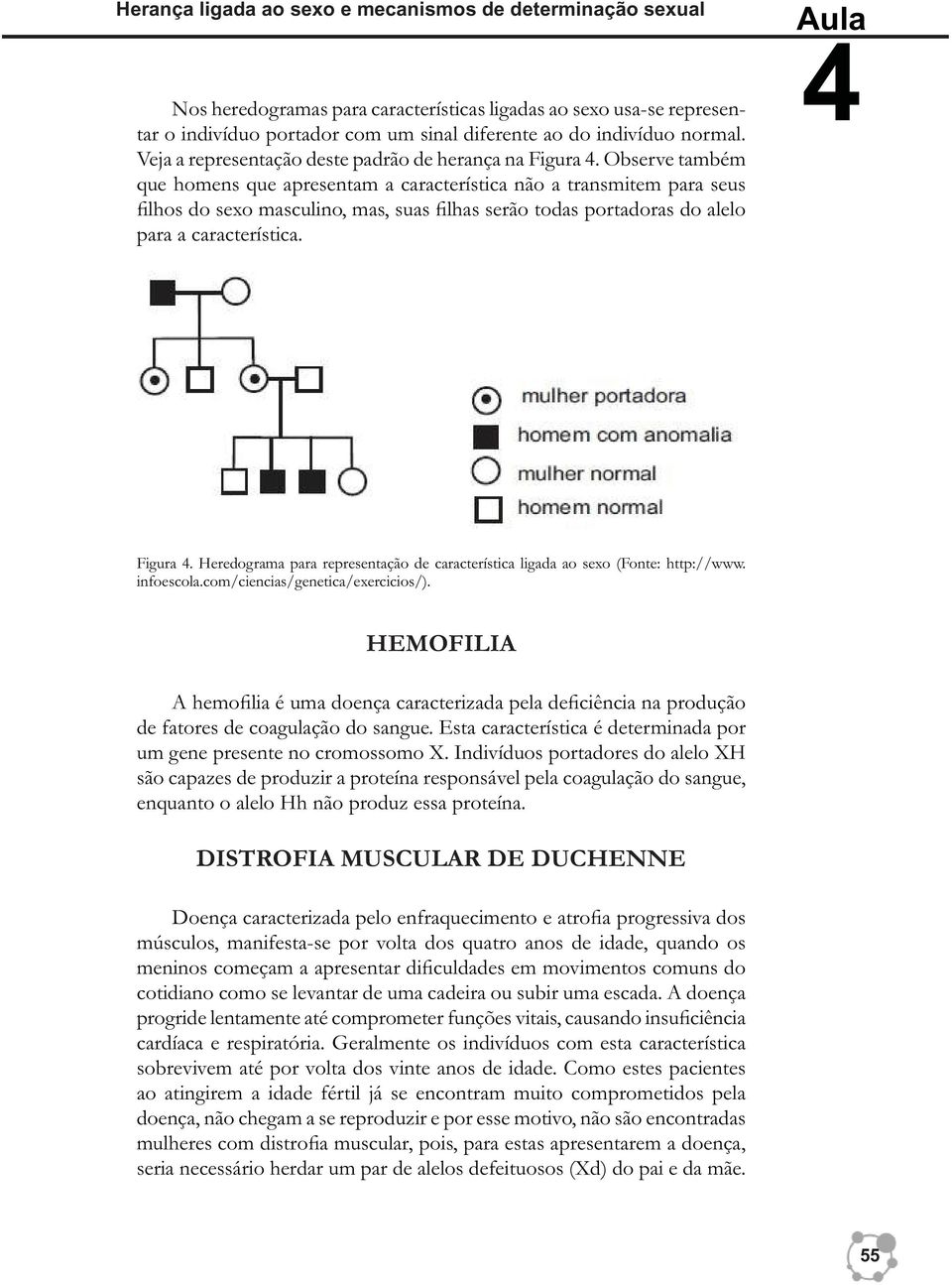 Observe também que homens que apresentam a característica não a transmitem para seus filhos do sexo masculino, mas, suas filhas serão todas portadoras do alelo para a característica. Aula 4 Figura 4.