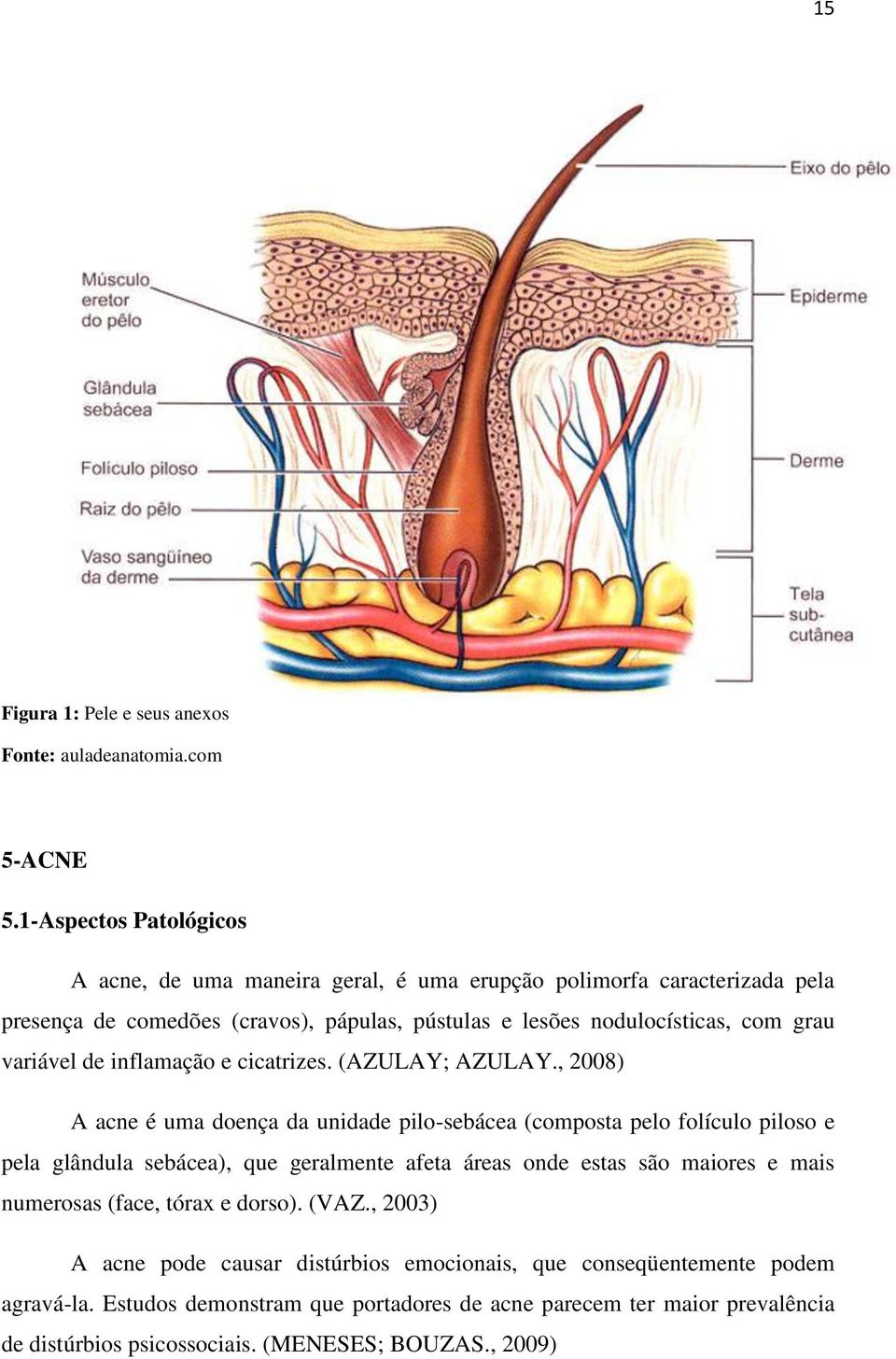 variável de inflamação e cicatrizes. (AZULAY; AZULAY.