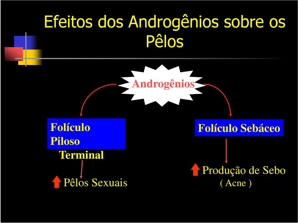 Piloso Terminal Pêlos Sexuais