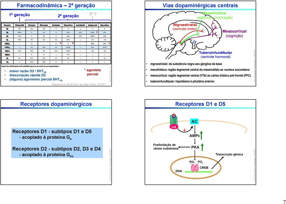 5HT 1A * agonista parcial Masana et al. (2012) Curr. Top. Med. Chem.