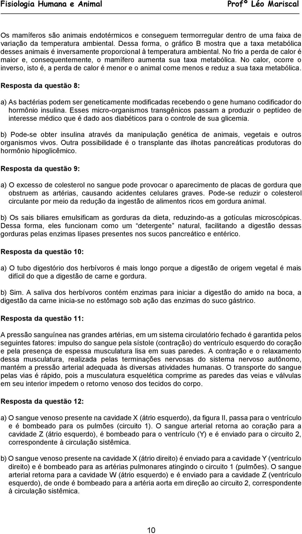 No frio a perda de calor é maior e, consequentemente, o mamífero aumenta sua taxa metabólica.