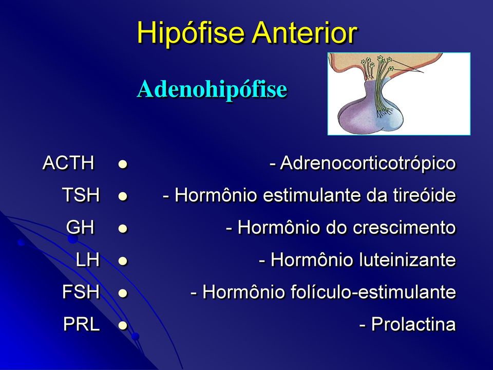 Adrenocorticotrópico - Hormônio do crescimento -