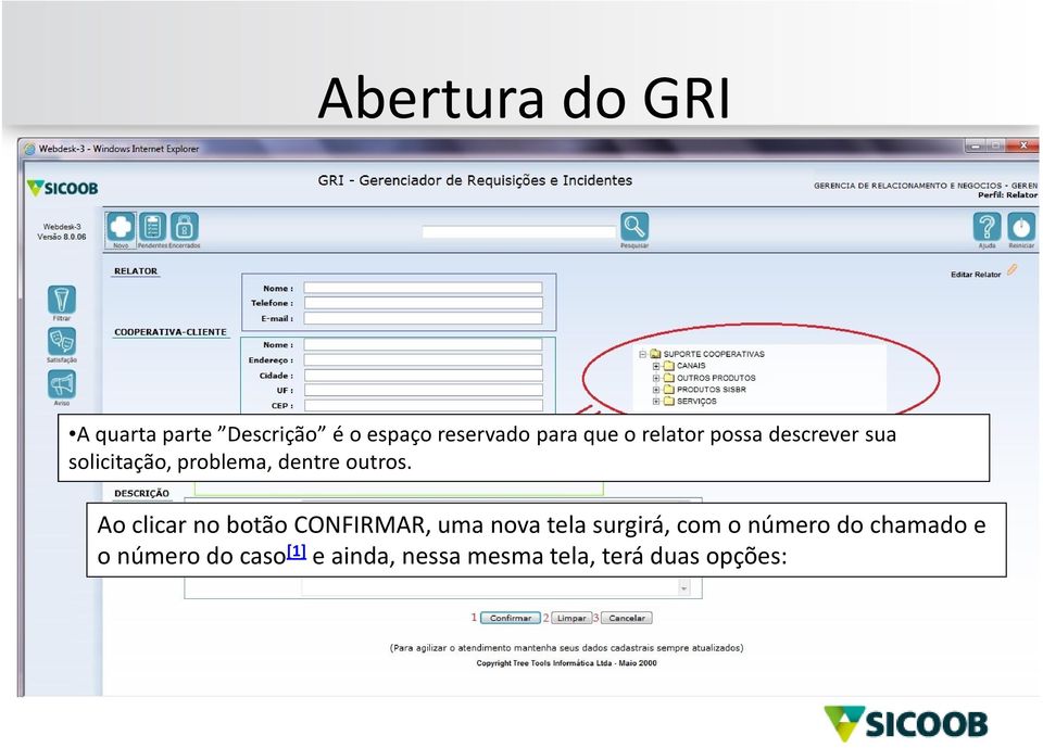 Ao clicar no botão CONFIRMAR, uma nova tela surgirá, com o número do